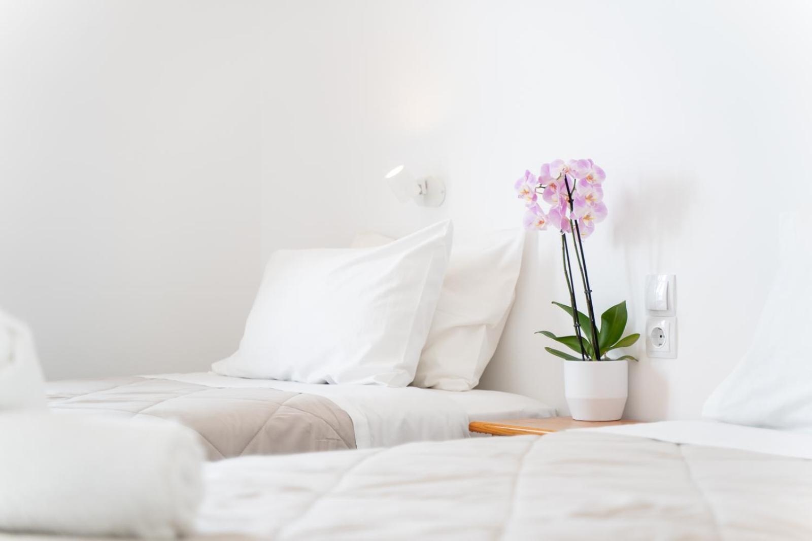 Zante Apts 拉加纳斯 外观 照片